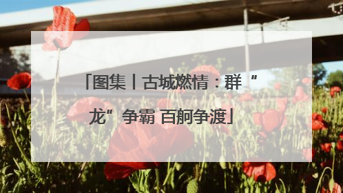 图集丨古城燃情：群“龙”争霸 百舸争渡