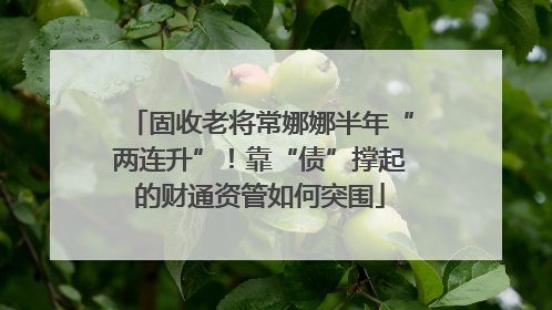 固收老将常娜娜半年“两连升”！靠“债”撑起的财通资管如何突围