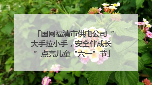 国网福清市供电公司“大手拉小手，安全伴成长”点亮儿童“六一”节