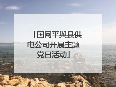 国网平舆县供电公司开展主题党日活动
