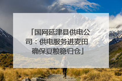 国网延津县供电公司：供电服务进麦田 确保夏粮稳归仓