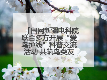 国网新疆电科院联合多方开展“爱鸟护线”科普交流活动 共筑鸟类友好城市