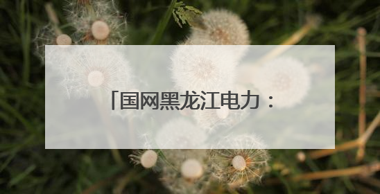 国网黑龙江电力：织密端午保电网 护航绿色出行路