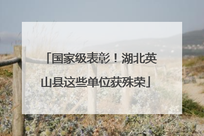 国家级表彰！湖北英山县这些单位获殊荣
