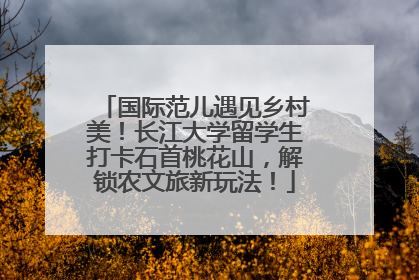 国际范儿遇见乡村美！长江大学留学生打卡石首桃花山，解锁农文旅新玩法！
