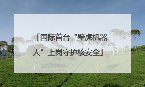 国际首台“壁虎机器人”上岗守护核安全