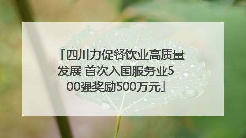 四川力促餐饮业高质量发展 首次入围服务业500强奖励500万元