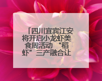 四川宜宾江安将开启小龙虾美食周活动 “稻虾”三产融合让当地餐饮商户充满期待