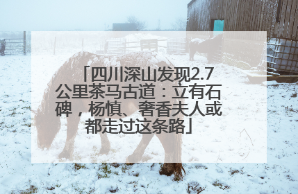 四川深山发现2.7公里茶马古道：立有石碑，杨慎、奢香夫人或都走过这条路