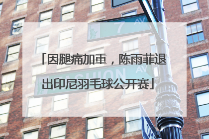 因腿痛加重，陈雨菲退出印尼羽毛球公开赛