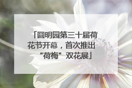 圆明园第三十届荷花节开幕，首次推出“荷梅”双花展