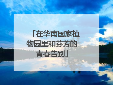 在华南国家植物园里和芬芳的青春告别