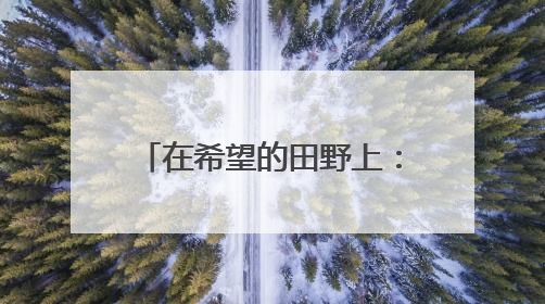 在希望的田野上：三夏时节丰收忙