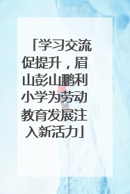 学习交流促提升，眉山彭山鹏利小学为劳动教育发展注入新活力