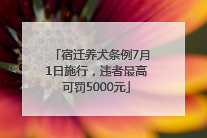 宿迁养犬条例7月1日施行，违者最高可罚5000元