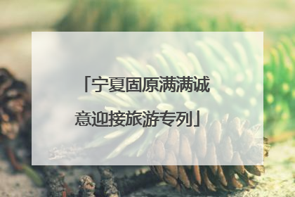宁夏固原满满诚意迎接旅游专列