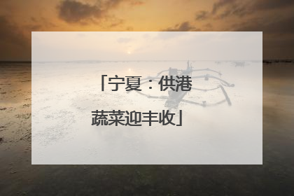 宁夏：供港蔬菜迎丰收