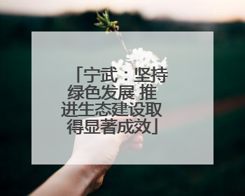 宁武：坚持绿色发展 推进生态建设取得显著成效