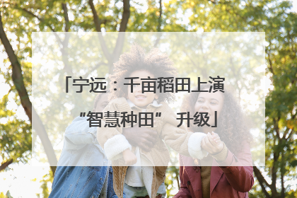 宁远：千亩稻田上演 “智慧种田” 升级