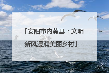 安阳市内黄县：文明新风浸润美丽乡村