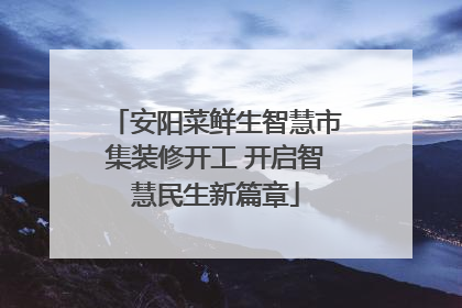 安阳菜鲜生智慧市集装修开工 开启智慧民生新篇章