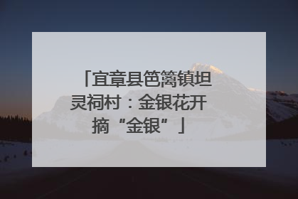 宜章县笆篱镇坦灵祠村：金银花开摘“金银”