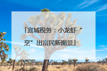 宜城税务：小龙虾“烹”出富民新图景