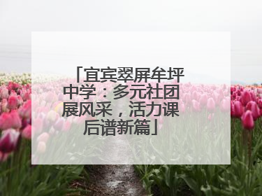 宜宾翠屏牟坪中学：多元社团展风采，活力课后谱新篇