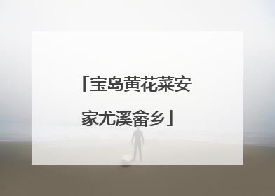 宝岛黄花菜安家尤溪畲乡