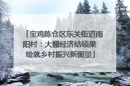 宝鸡陈仓区东关街道南阳村：大棚经济结硕果 绘就乡村振兴新图景