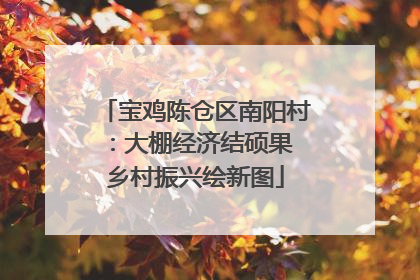 宝鸡陈仓区南阳村：大棚经济结硕果 乡村振兴绘新图