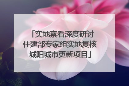 实地察看深度研讨 住建部专家组实地复核城阳城市更新项目
