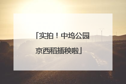 实拍！中坞公园京西稻插秧啦