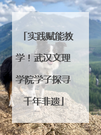 实践赋能教学！武汉文理学院学子探寻千年非遗