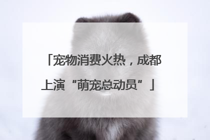 宠物消费火热，成都上演“萌宠总动员”