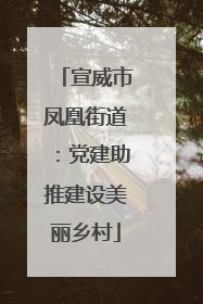 宣威市凤凰街道：党建助推建设美丽乡村