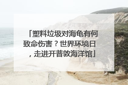 塑料垃圾对海龟有何致命伤害？世界环境日，走进开普敦海洋馆
