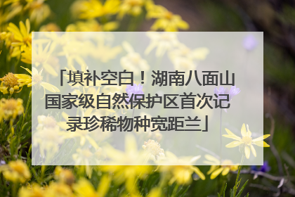 填补空白！湖南八面山国家级自然保护区首次记录珍稀物种宽距兰