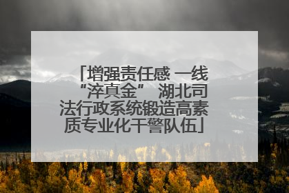 增强责任感 一线“淬真金” 湖北司法行政系统锻造高素质专业化干警队伍