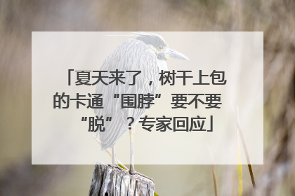 夏天来了，树干上包的卡通“围脖”要不要“脱”？专家回应