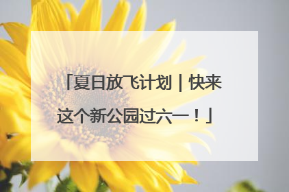 夏日放飞计划｜快来这个新公园过六一！