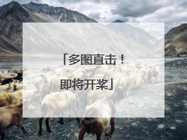 多图直击！即将开桨