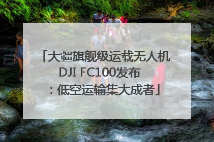 大疆旗舰级运载无人机DJI FC100发布：低空运输集大成者