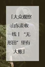 大众观察·山东麦收一线丨“无形田”里有大账