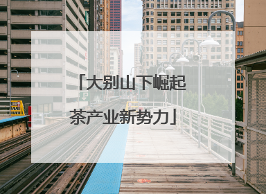 大别山下崛起茶产业新势力