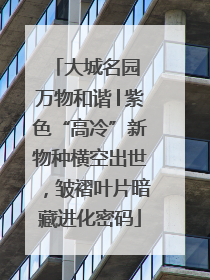 大城名园 万物和谐│紫色“高冷”新物种横空出世，皱褶叶片暗藏进化密码