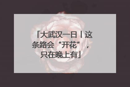 大武汉一日丨这条路会“开花”，只在晚上有