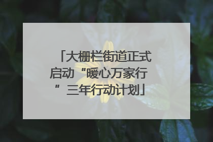 大栅栏街道正式启动“暖心万家行”三年行动计划