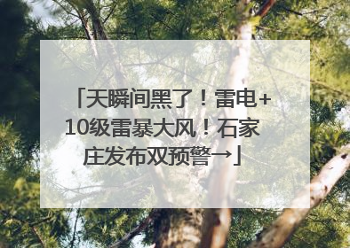 天瞬间黑了！雷电+10级雷暴大风！石家庄发布双预警→