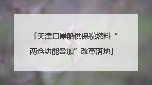 天津口岸船供保税燃料“两仓功能叠加”改革落地